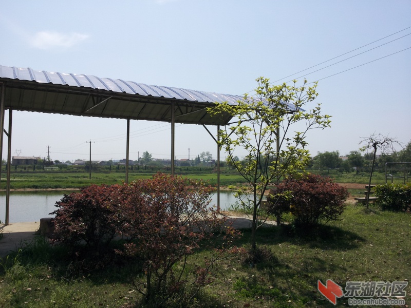 20130415_105237.jpg