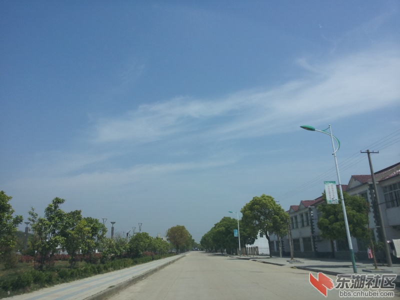 20130415_110000.jpg