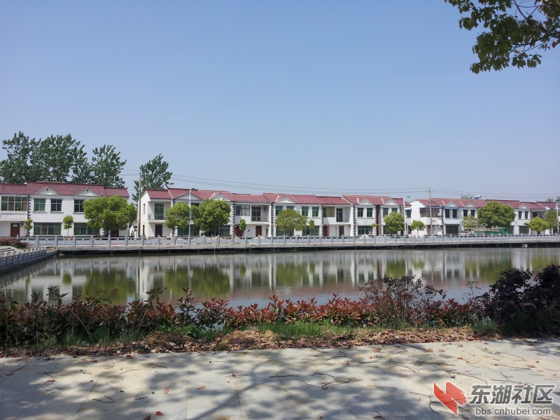 20130415_110024.jpg