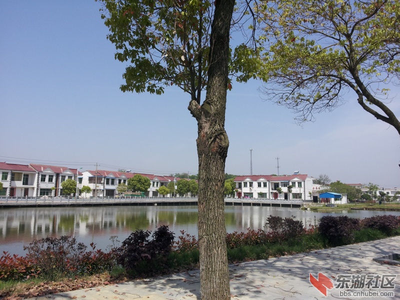 20130415_110028.jpg