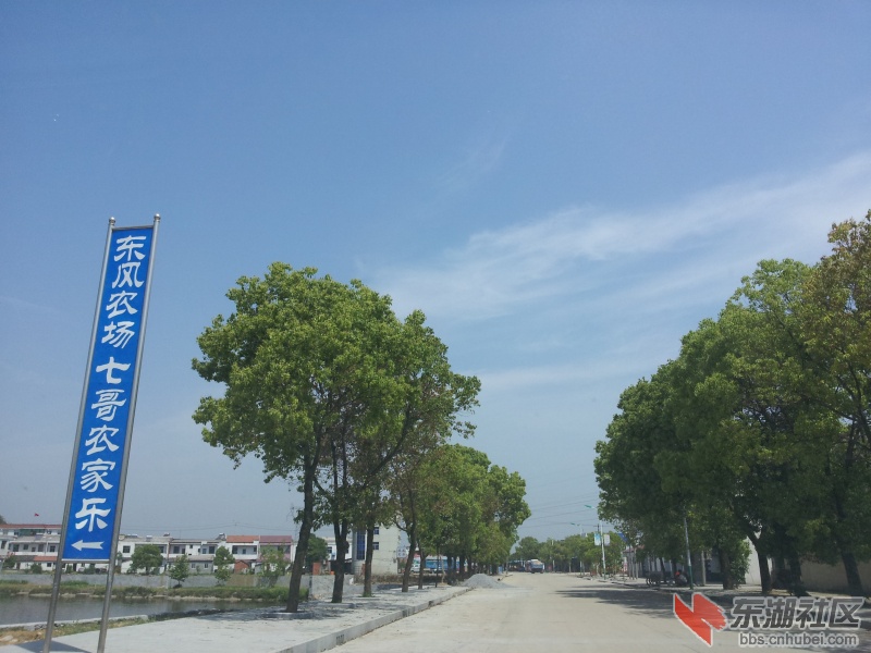20130415_110117.jpg