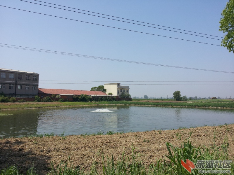 20130415_110354.jpg