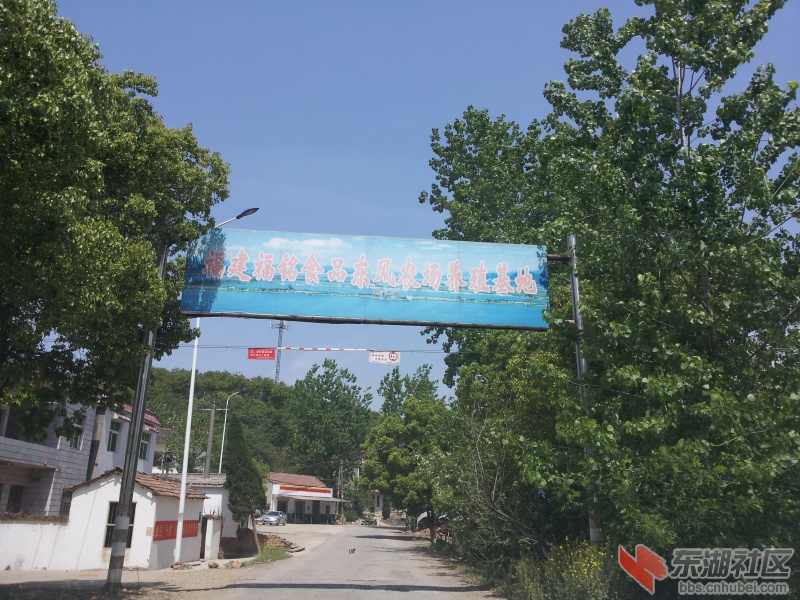20130415_110539.jpg