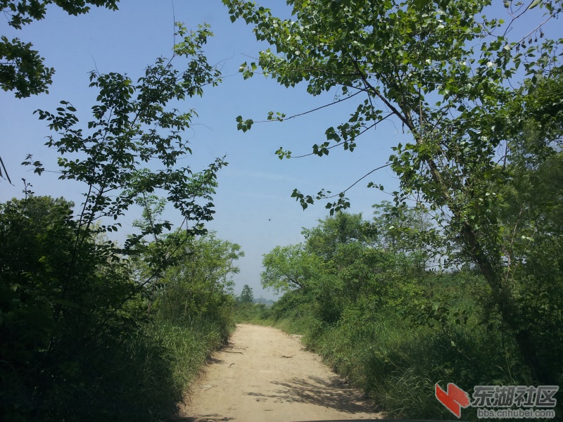 20130415_110850.jpg