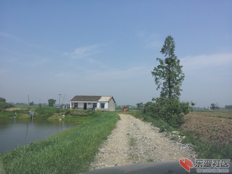 20130415_111224.jpg