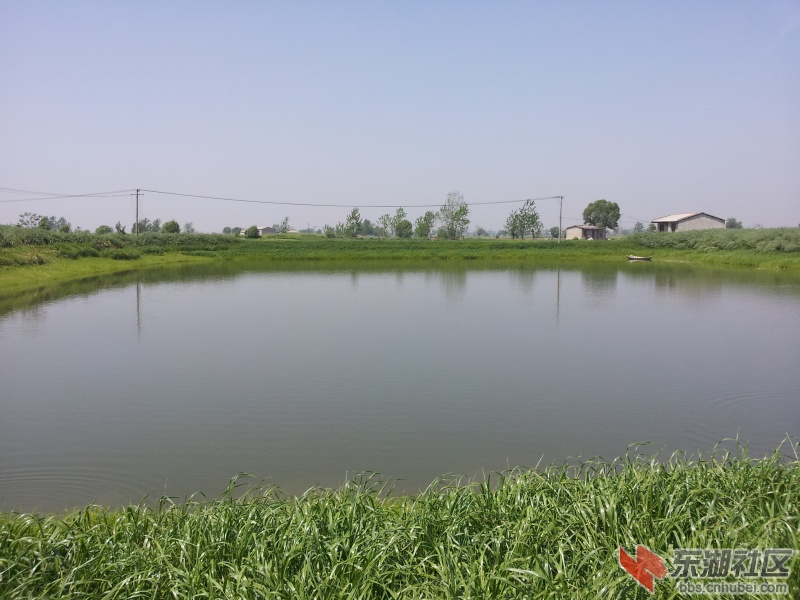 20130415_111232.jpg