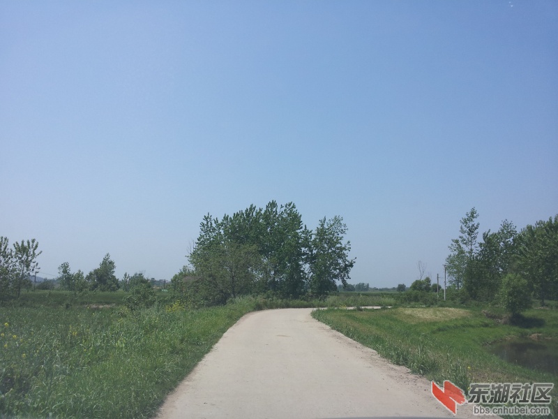20130415_113333.jpg