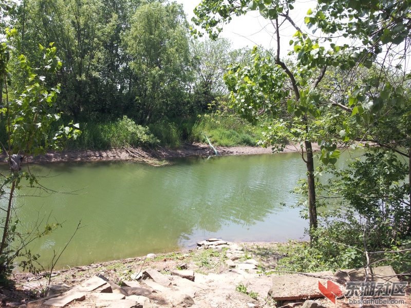 20130415_113612.jpg
