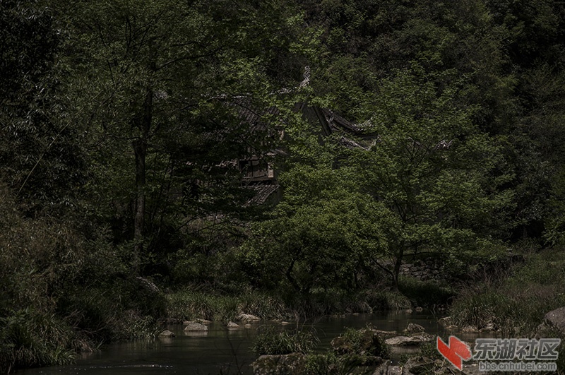 DSC_6214.jpg