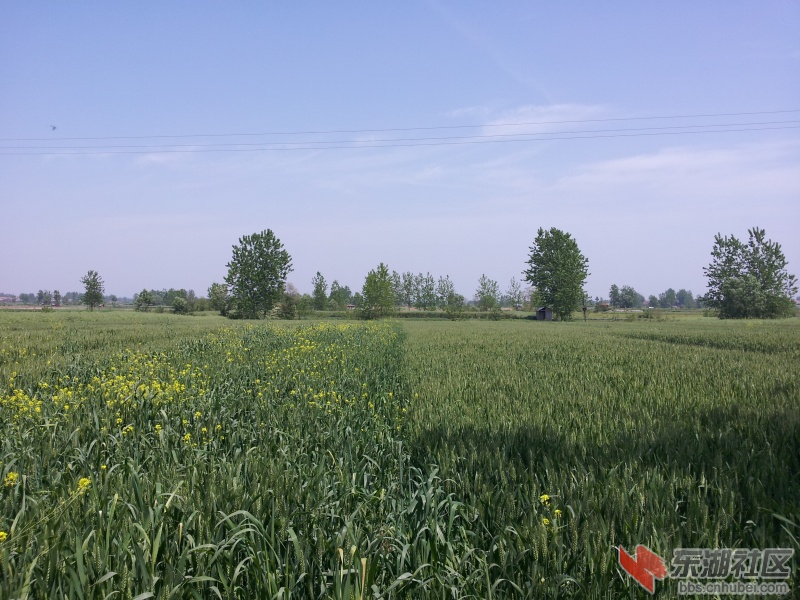 20130415_114122.jpg