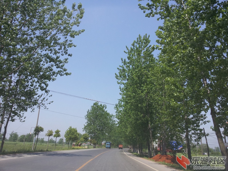20130415_115322.jpg