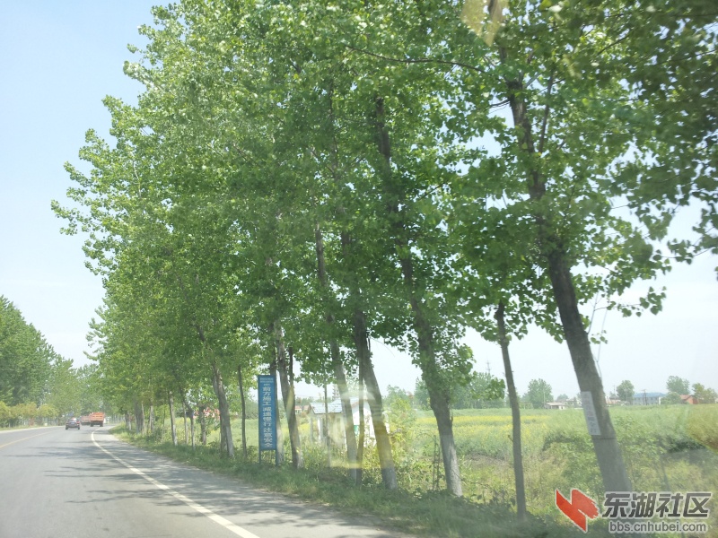 20130415_115410.jpg
