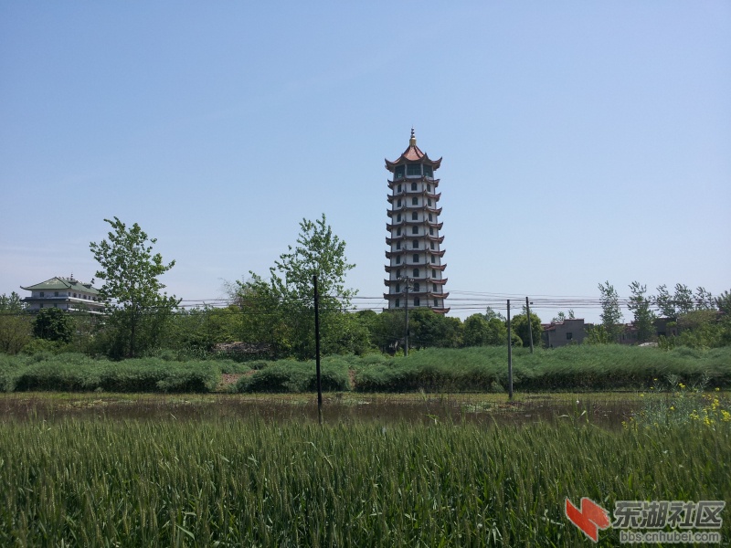 20130415_115601.jpg