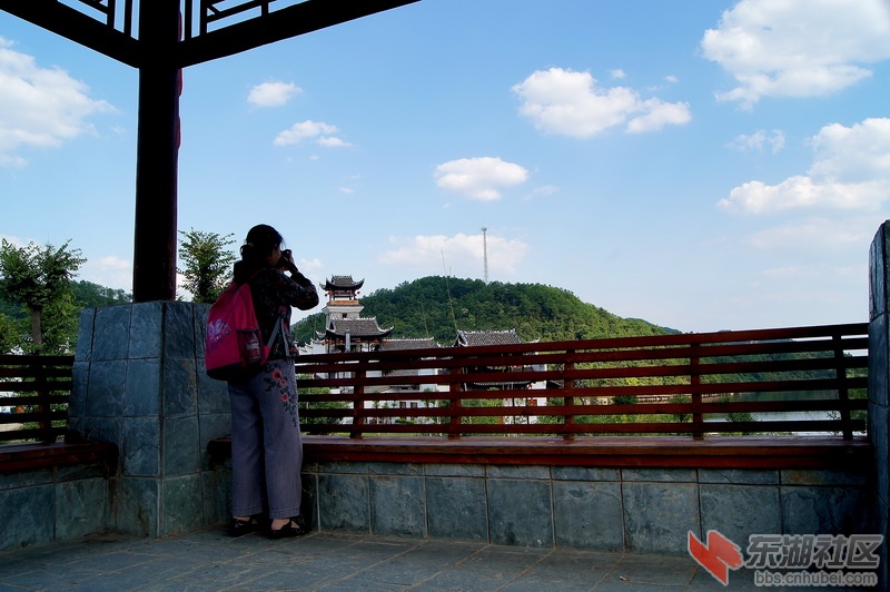 DSC01062.jpg