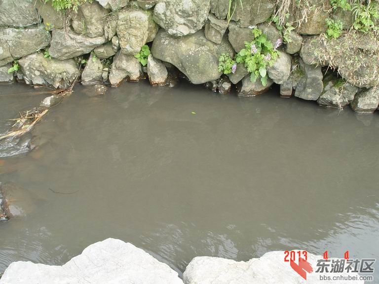 调整大小 DSC00853.JPG