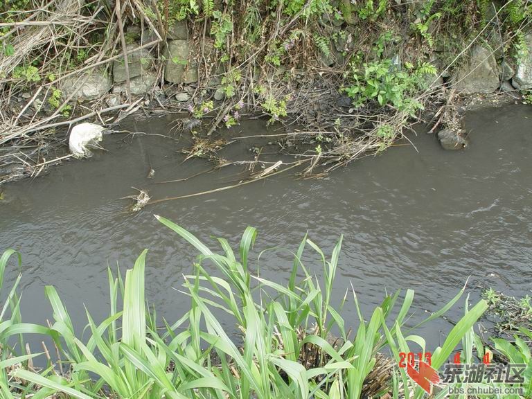 调整大小 DSC00858.JPG