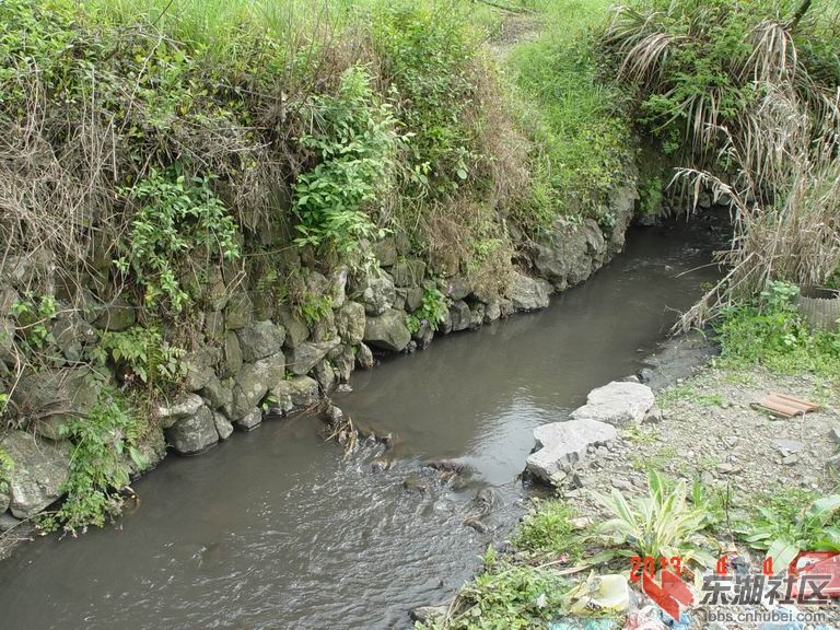 调整大小 DSC00860.JPG