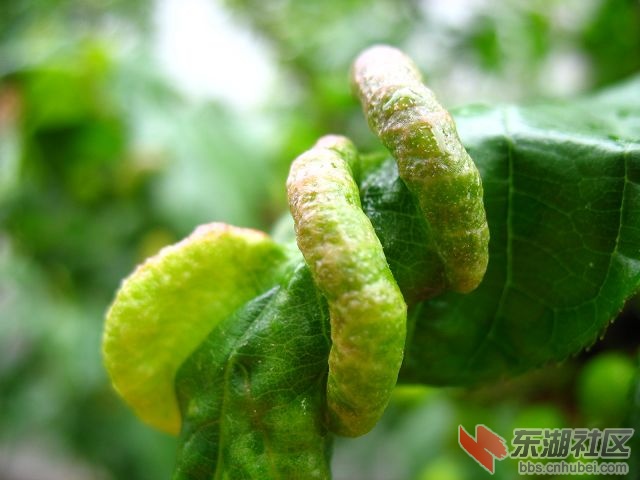 照片 110.jpg