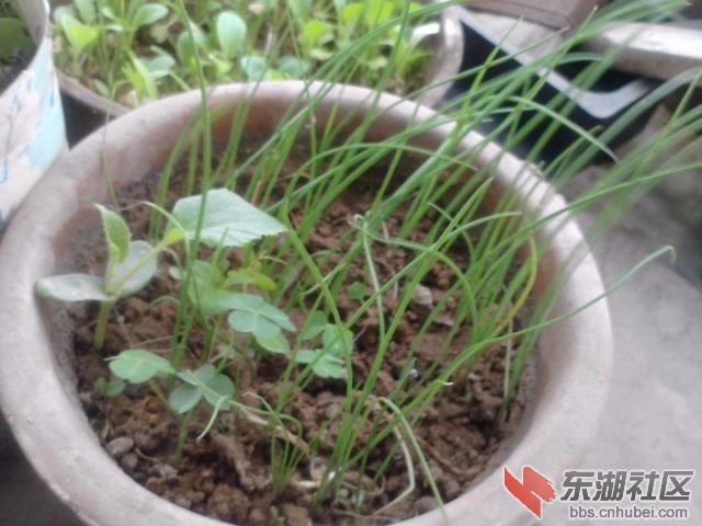 P160413_18.04.jpg