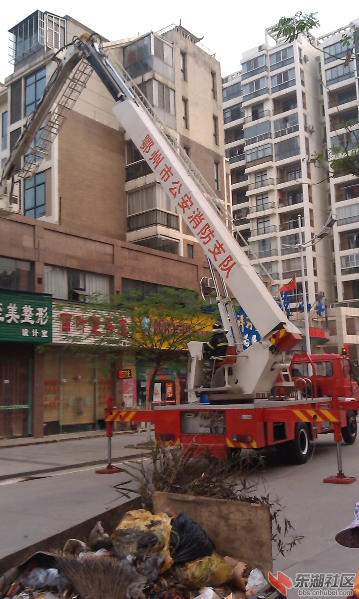 IMAG0095.jpg
