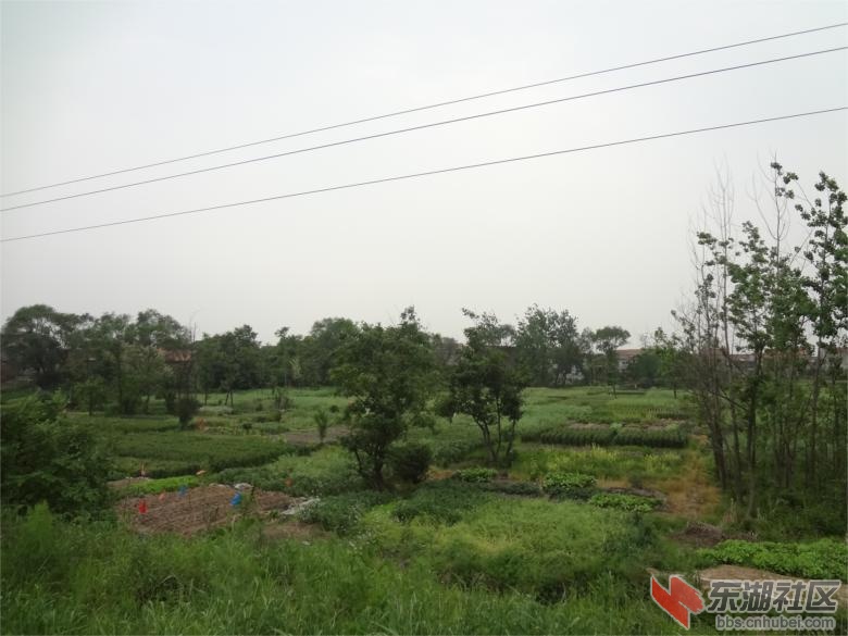 DSC01751.jpg