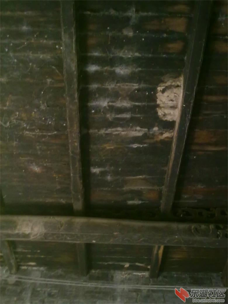 201304121827.jpg