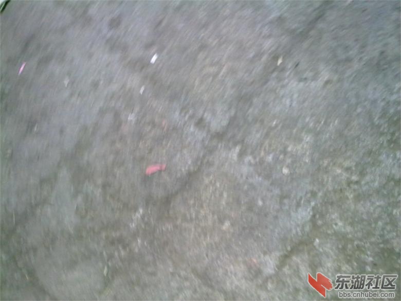 201304121848.jpg