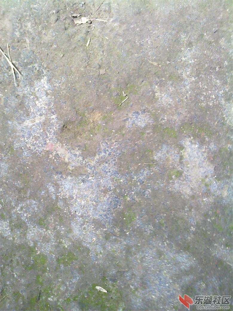 201304121849.jpg