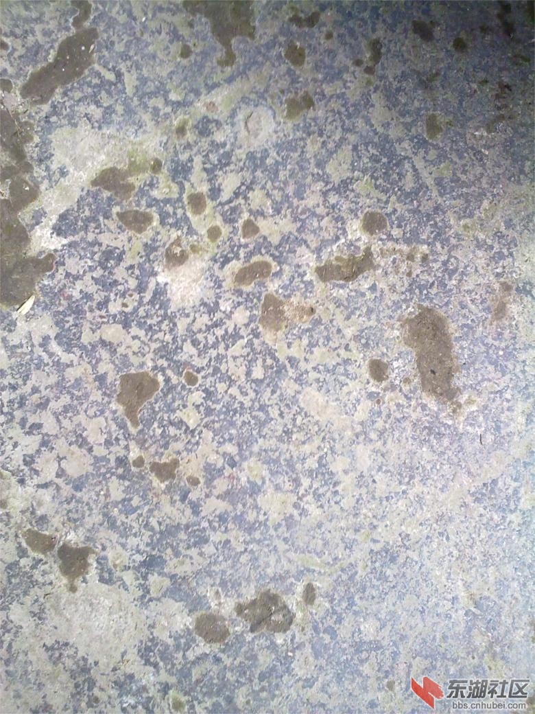 201304121850.jpg