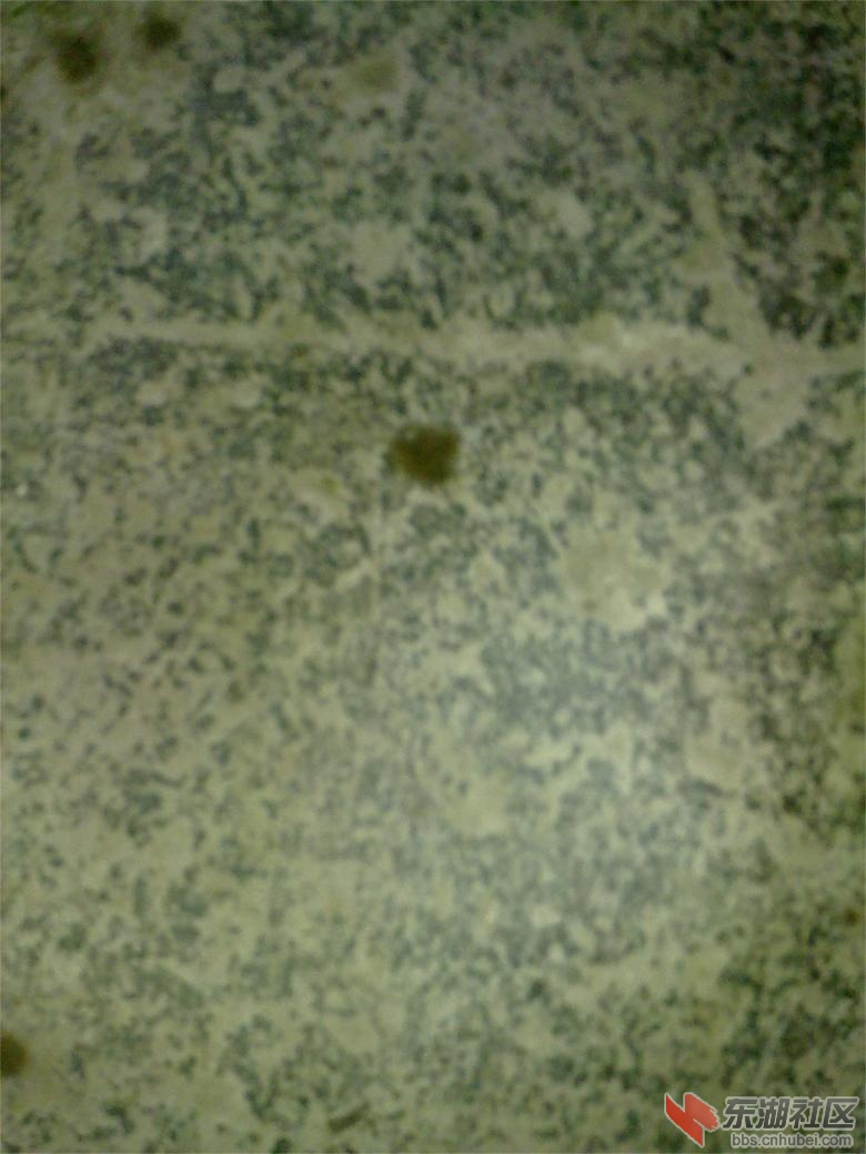 201304121852.jpg