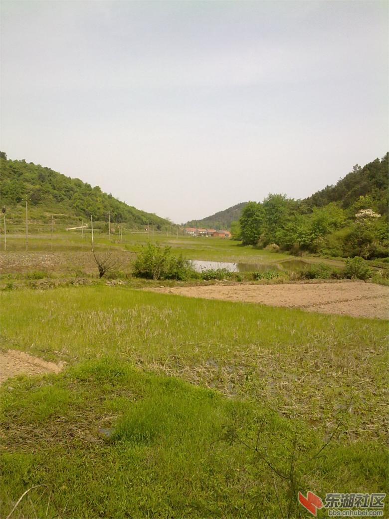 201304121864.jpg