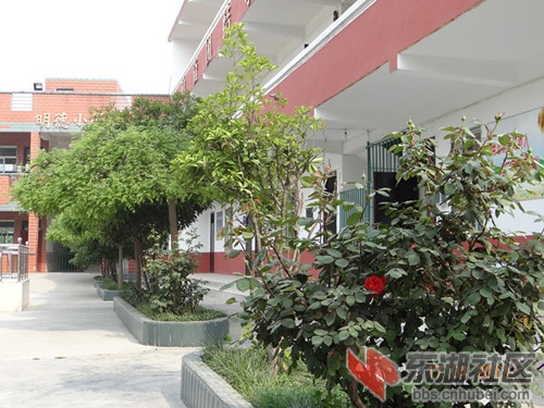 土关垭小学_副本.jpg