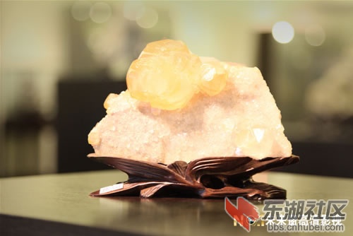201091414211270.jpg