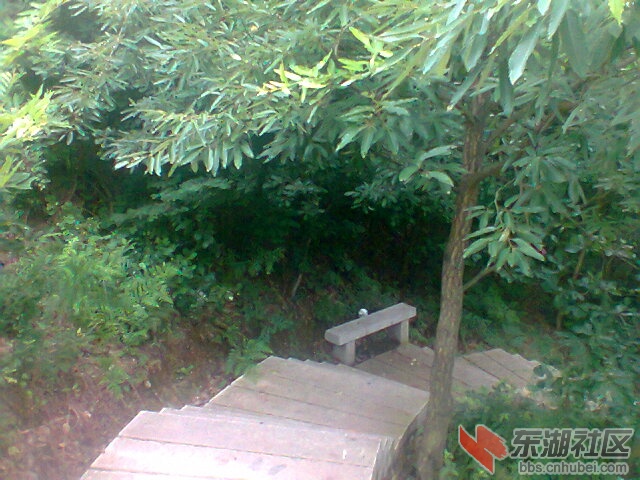 照片1052.jpg