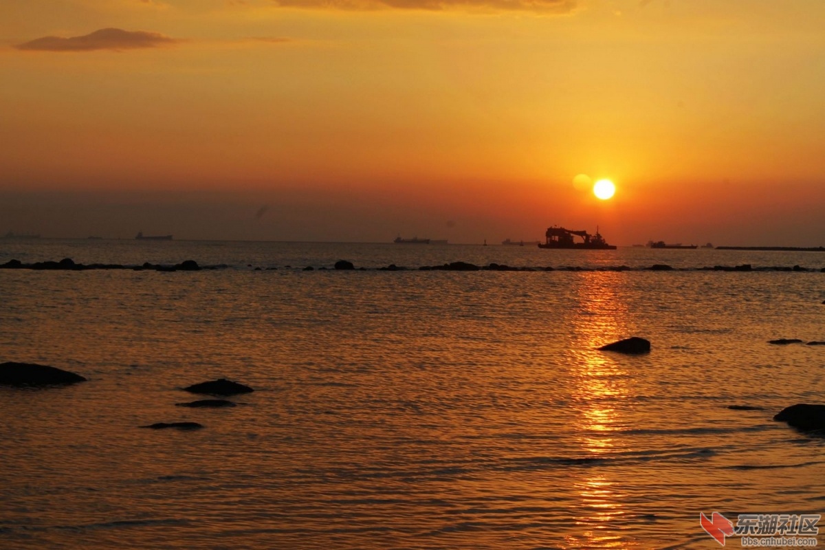 _MG_9560.jpg