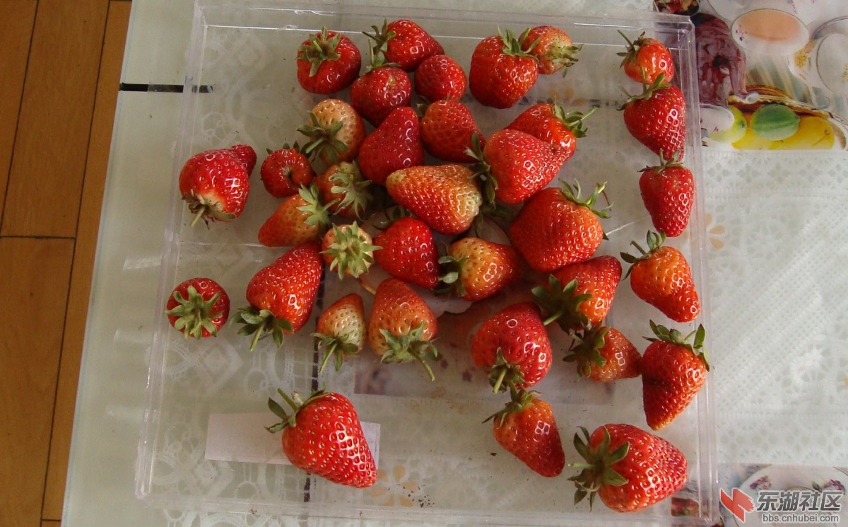 DSC01725_2345看图王.jpg