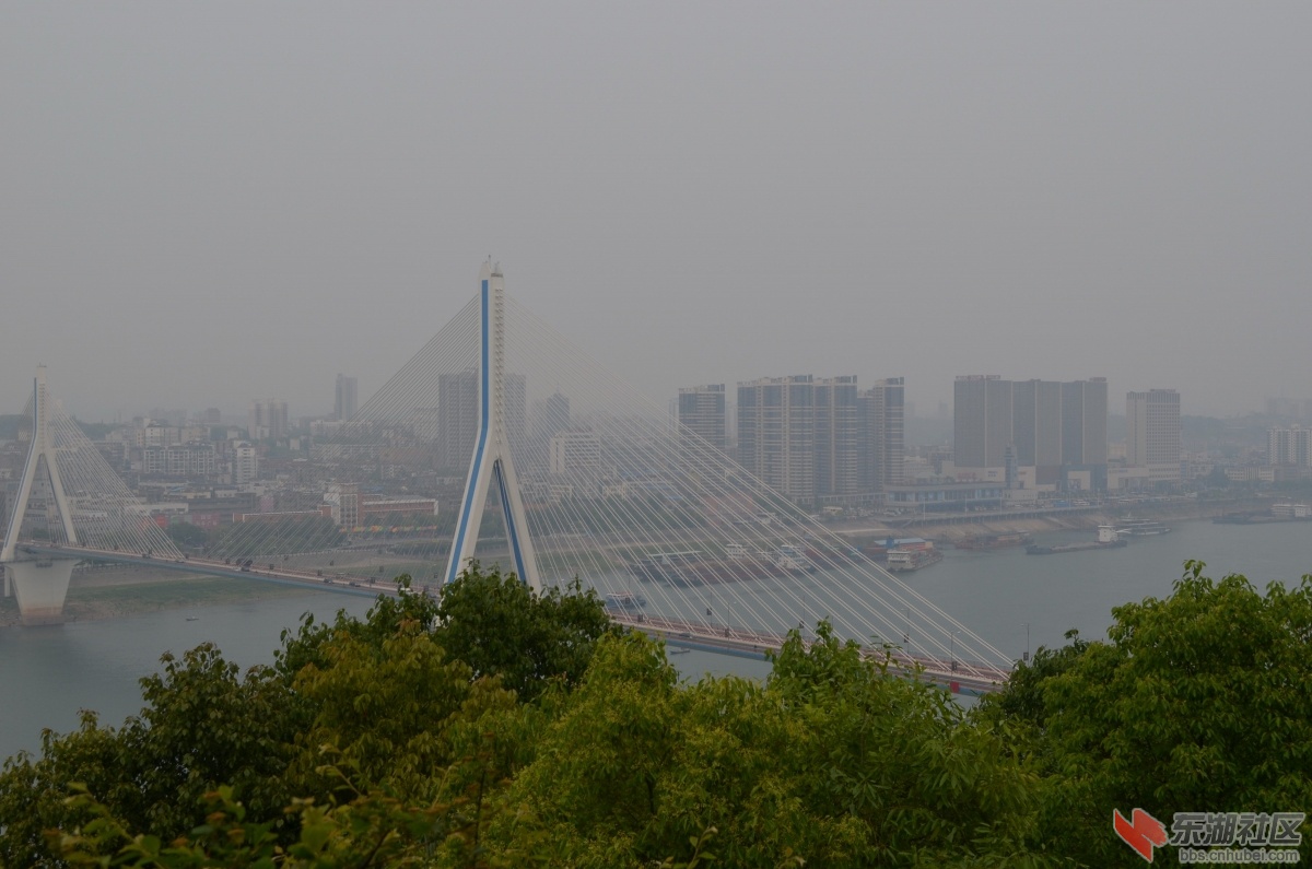 DSC_0494.jpg