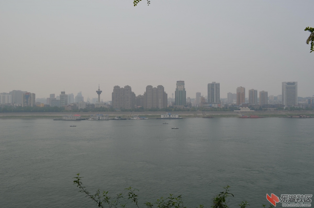 DSC_0487.jpg