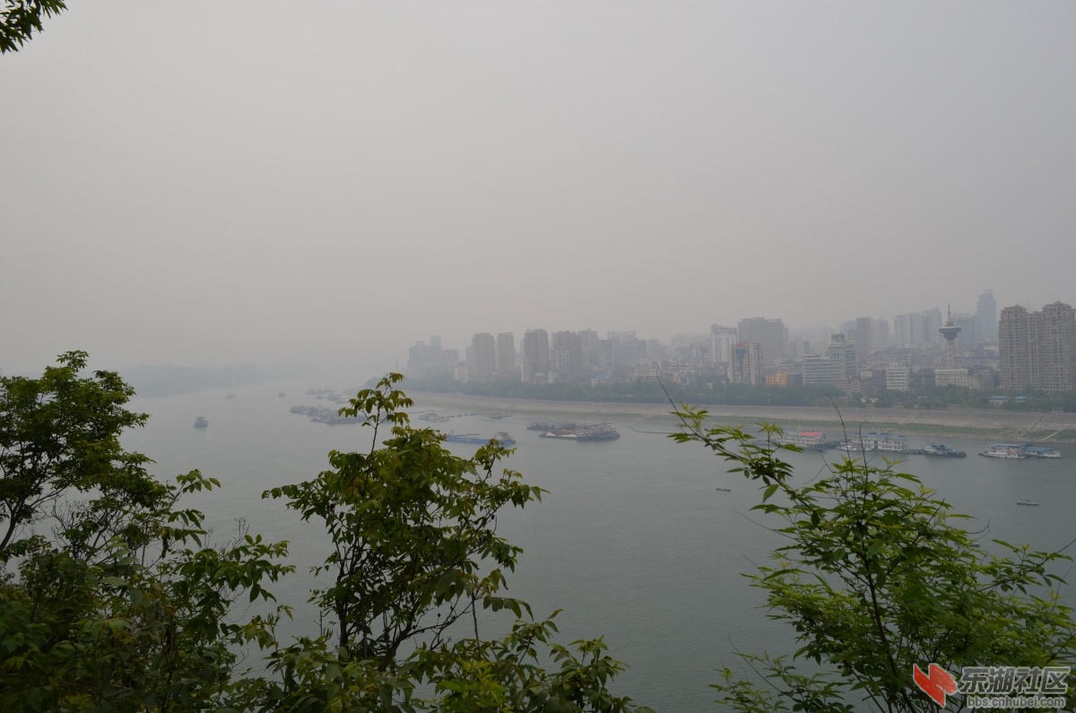 DSC_0492.jpg