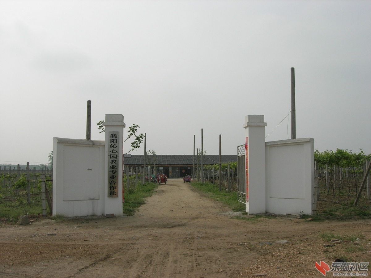 DSCN4777.JPG