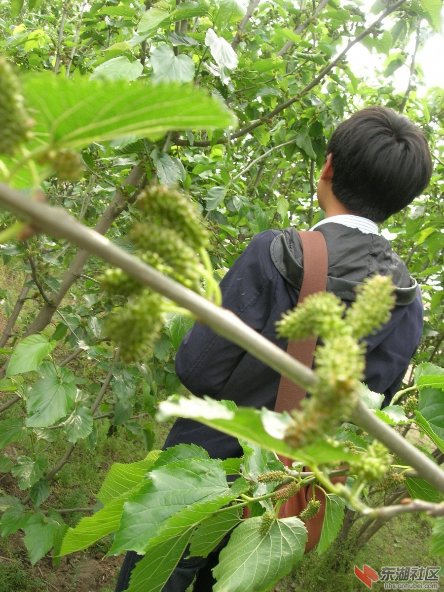 DSCN4770.JPG