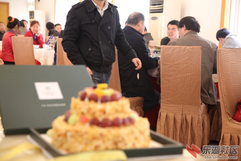 IMG_4801.jpg