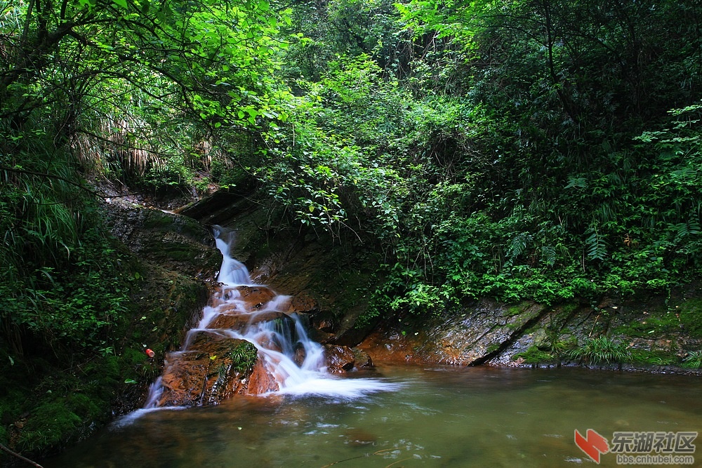 201107211824291.jpg