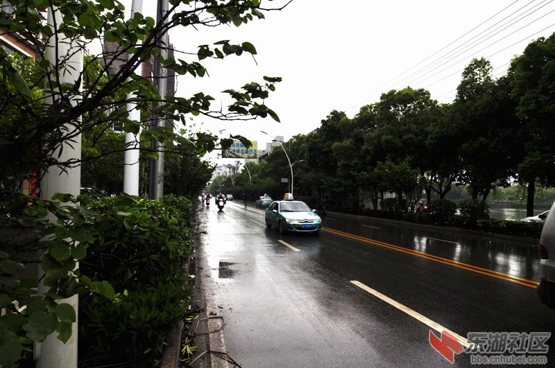 南浦路路灯111.jpg