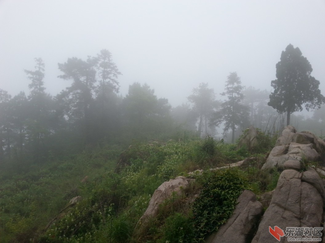 QQ截图20130423215118.jpg
