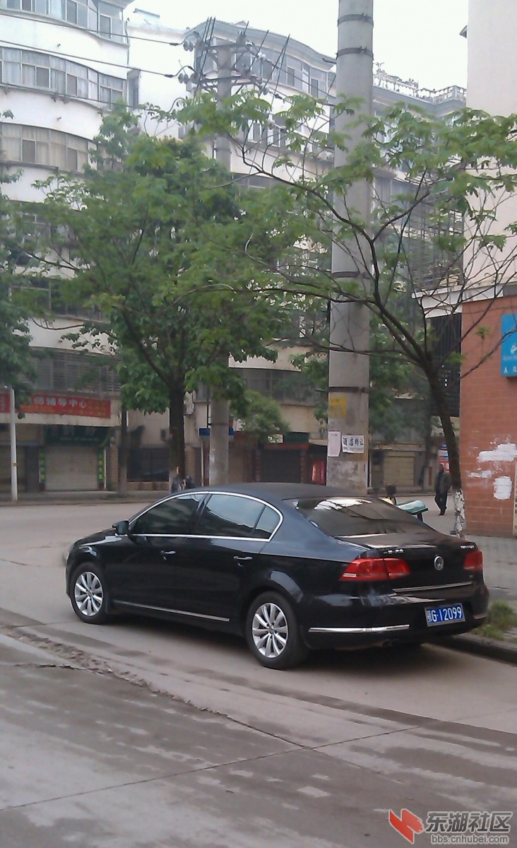 IMAG0115-1.jpg