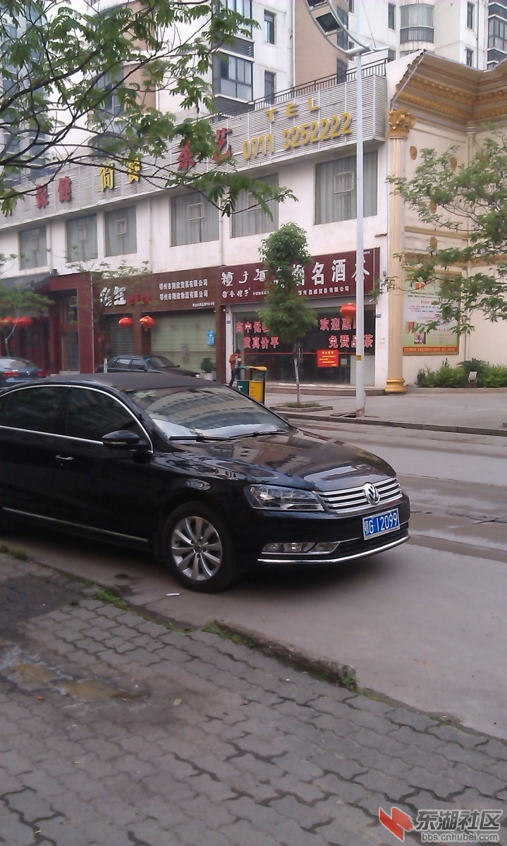 IMAG0113.jpg
