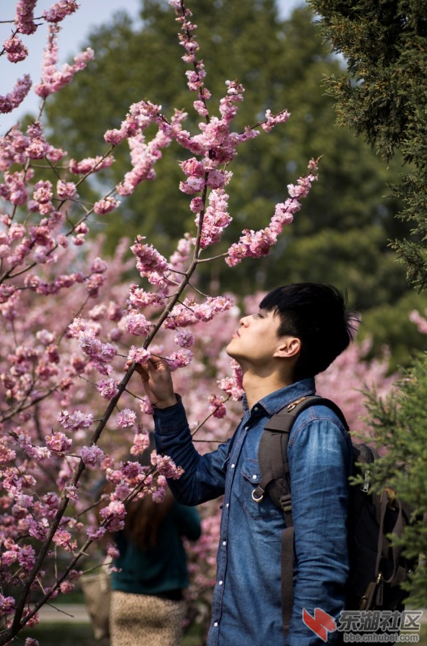QQ截图20130425142127.jpg