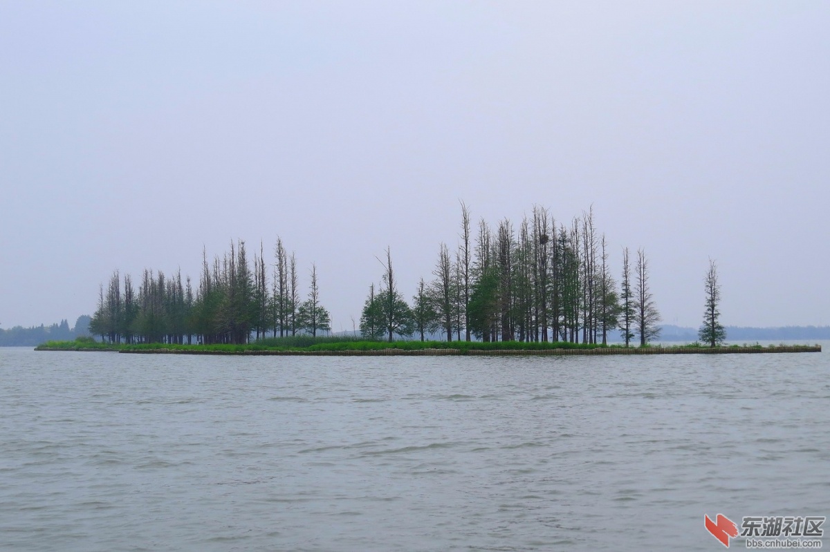 IMG_2683.JPG