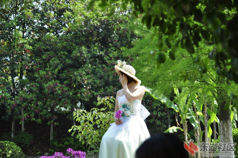 美女.jpg